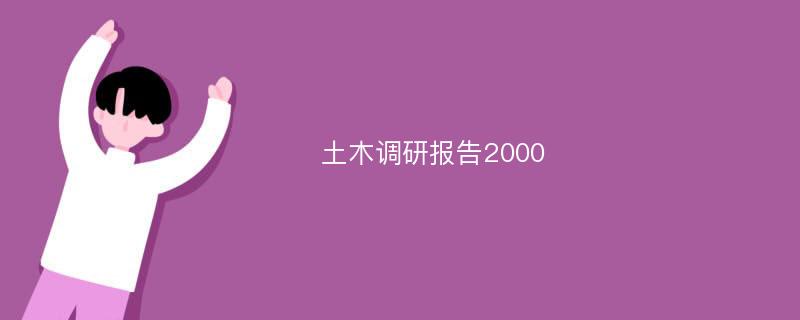 土木调研报告2000