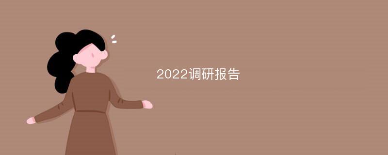 2022调研报告